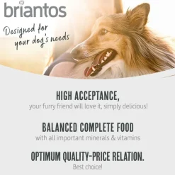 Briantos Adult Active