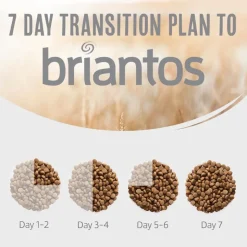 Briantos Adult lammas & peruna - viljaton