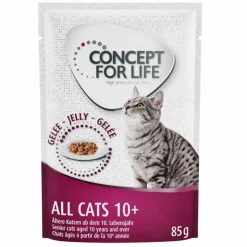 Concept for Life All Cats 10+ - in Jelly