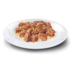 Concept for Life All Cats -kokeilupakkaus 4 x 85 g