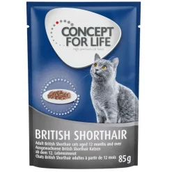 Concept for Life British Shorthair Adult Ragout