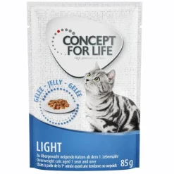 Concept for Life Light Adult - paranneltu koostumus!