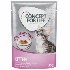 Concept for Life Maine Coon Kitten - paranneltu koostumus!