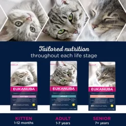 Eukanuba Healthy Start Kitten