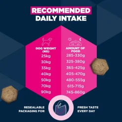 Eukanuba Premium Nutrition Adult Large & Giant Breed karitsa & riisi