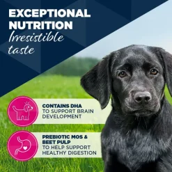 Eukanuba Puppy Rich in Trout with Sweet Potatoes