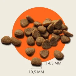 IAMS Advanced Nutrition Grain Free kana
