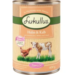 Lukullus Junior -säästöpakkaus 24 x 400 g