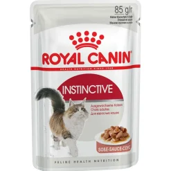 Royal Canin -säästöpakkaus 24 x 85 g