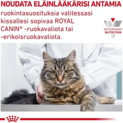 Royal Canin Veterinary Feline Gastrointestinal kastikkeessa